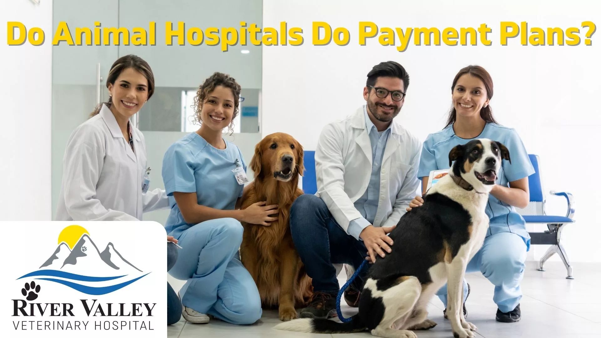 Do Animal Hospitals Do Payment Plans - By River Valley Veterinary Hospital