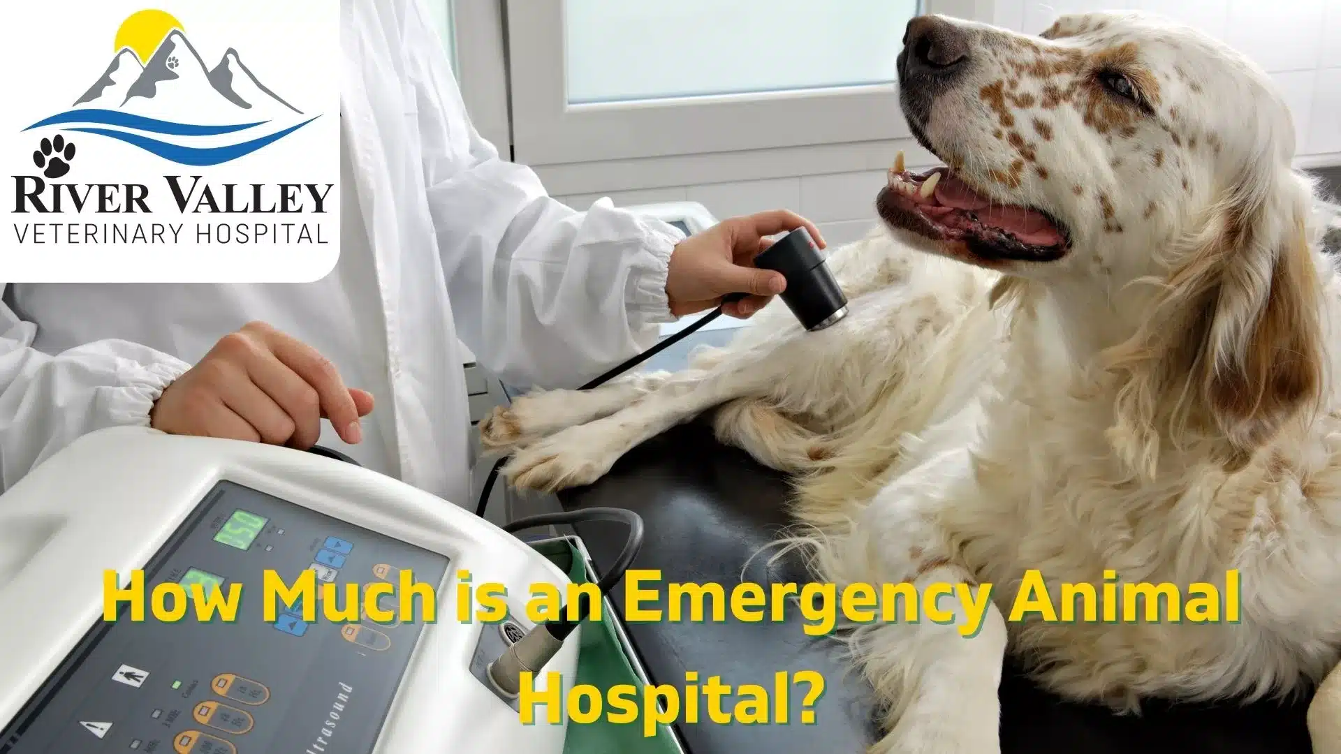 How Much is an Emergency Animal Hospital In PA?