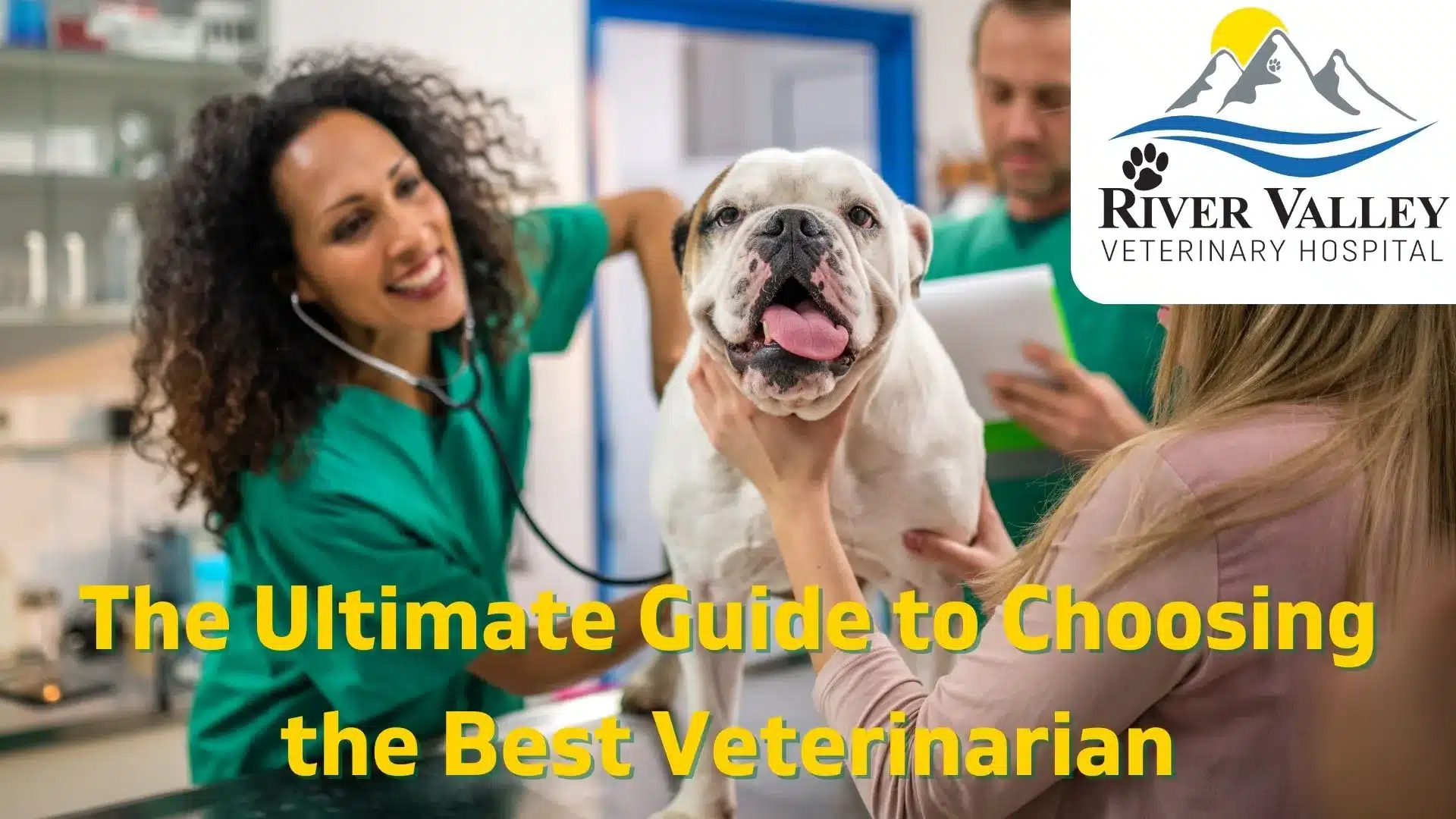 The Ultimate Guide to Choosing the Best Veterinarian