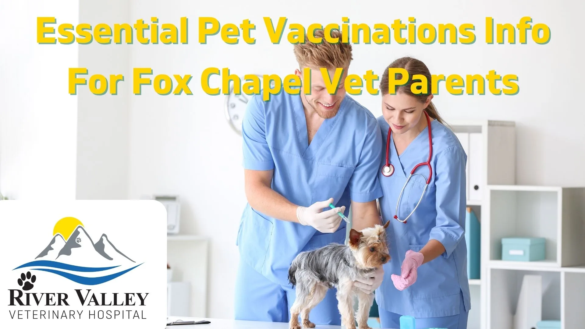 Essential Pet Vaccinations Info For Fox Chapel Vet Parents
