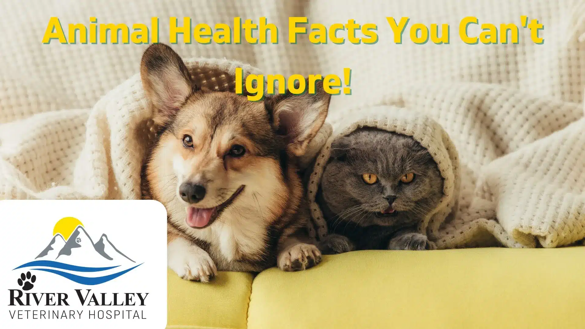 Animal Health Facts You Can't Ignore