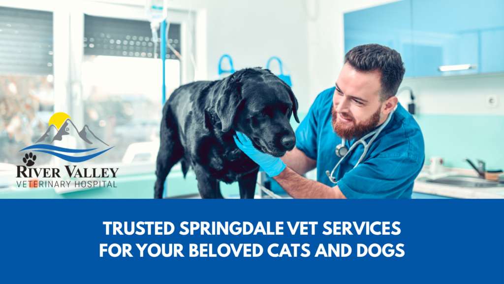 Springdale Vet Services